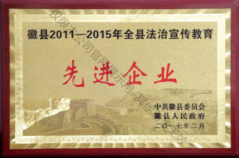 2011-2015ȫطȽҵ